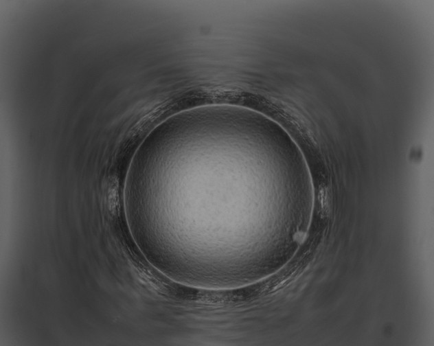 X0000095690963200801151145