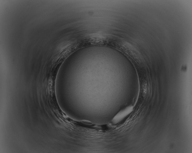 X0000095690964200801151145