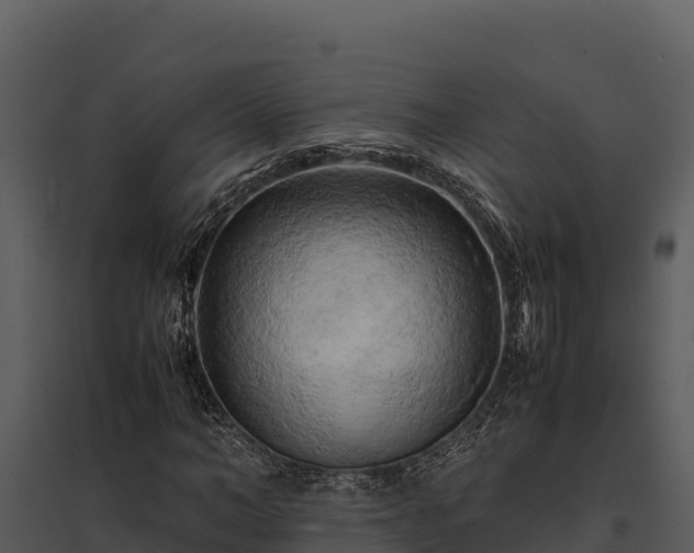 X0000095690966200801151145