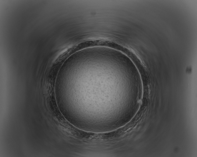 X0000095690967200801151145