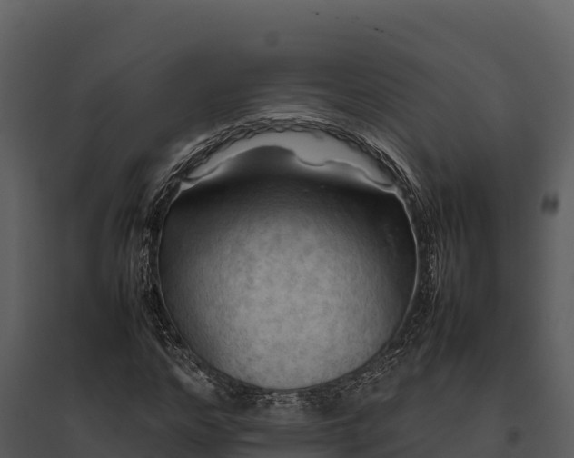 X0000095690968200801151145