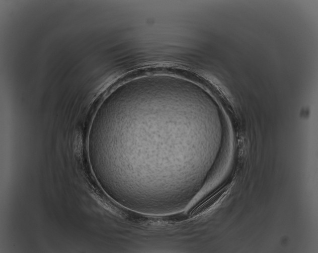 X0000095690969200801151145