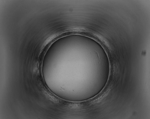 X0000095690970200801151144