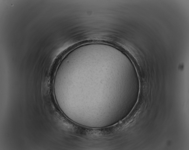 X0000095690971200801151144