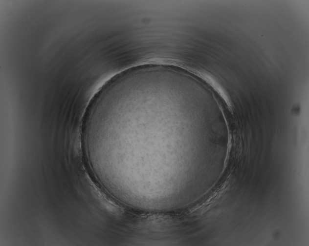X0000095690972200801151144