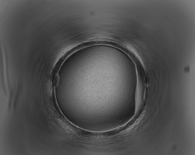 X0000095690973200801151144