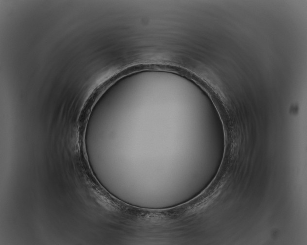 X0000095690974200801151144