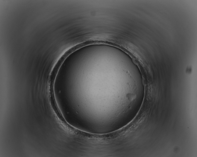 X0000095690976200801151144
