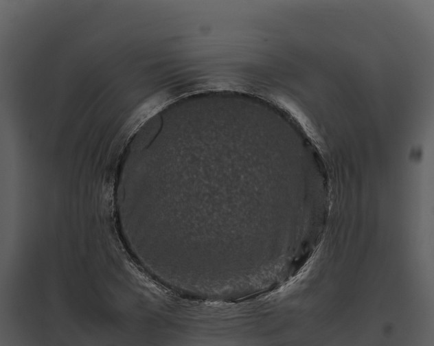 X0000095690977200801151144