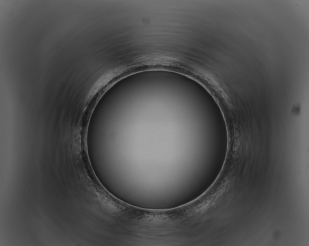 X0000095690978200801151144