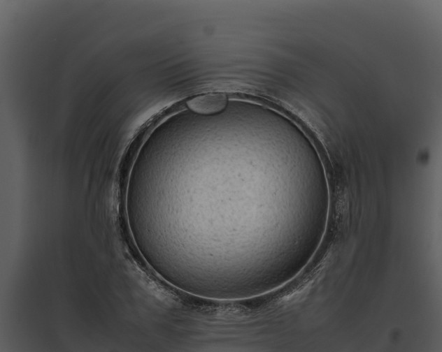 X0000095690979200801151144