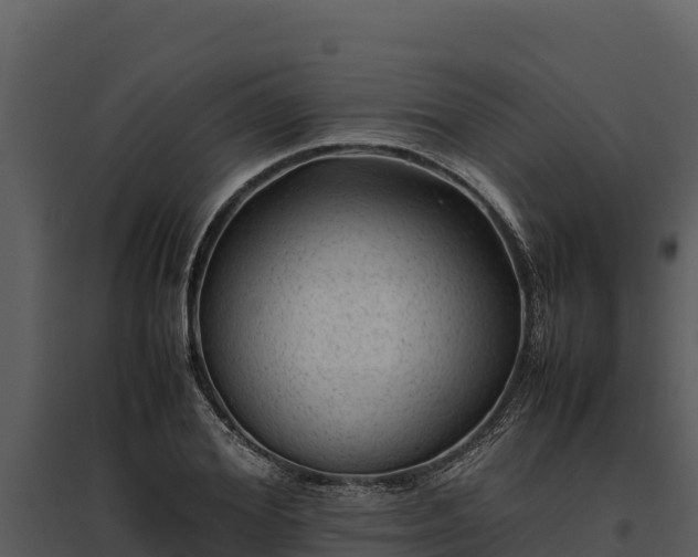 X0000095690980200801151144