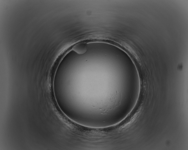 X0000095690981200801151144
