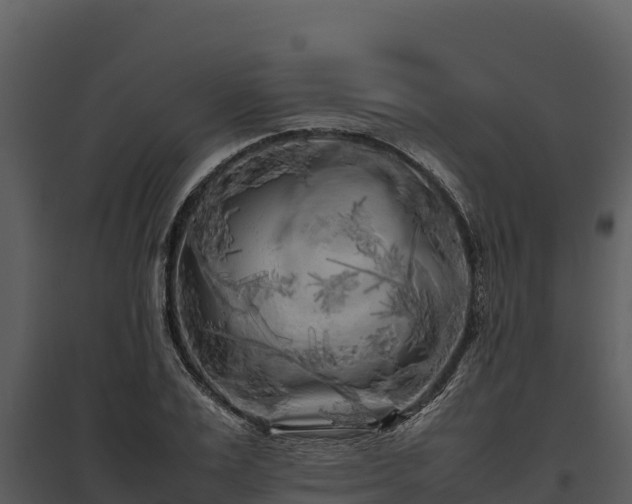X0000095690983200801151144