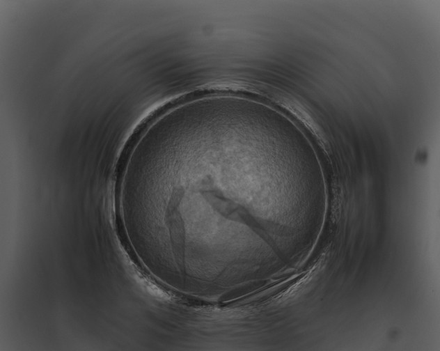 X0000095690984200801151144