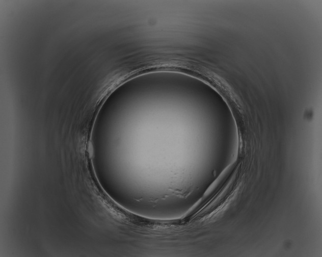 X0000095690985200801151144