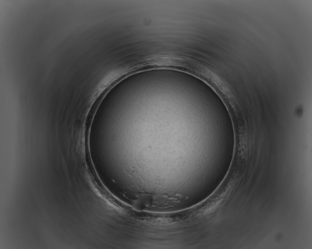 X0000095690986200801151144
