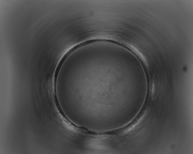 X0000095690988200801151144