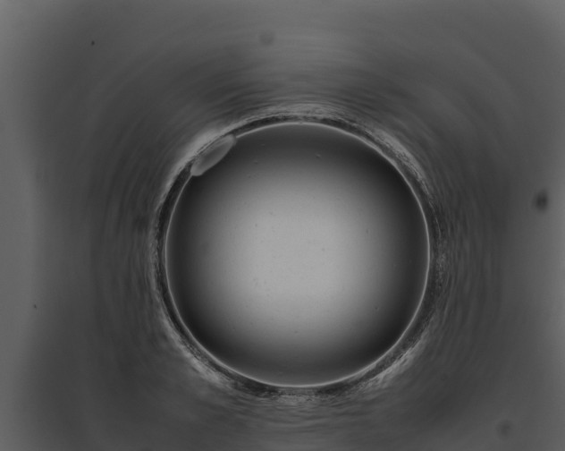 X0000095690989200801151144
