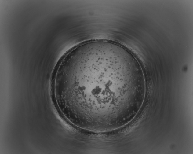 X0000095690991200801151144
