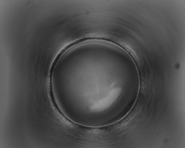X0000095690992200801151144
