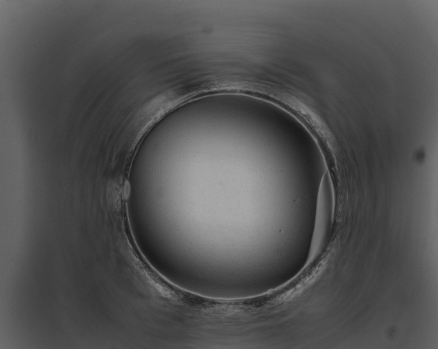 X0000095690993200801151144