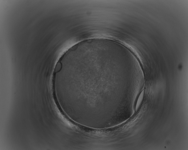 X0000095690995200801151144