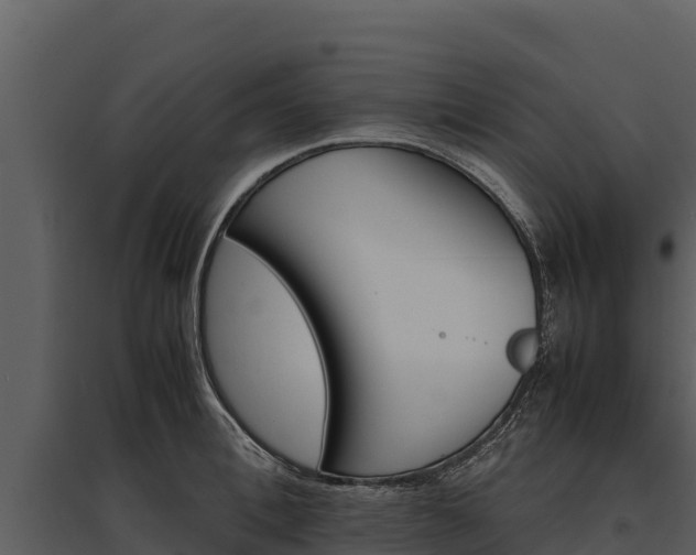 X0000095690996200801151144