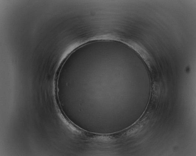 X0000095690998200801151144