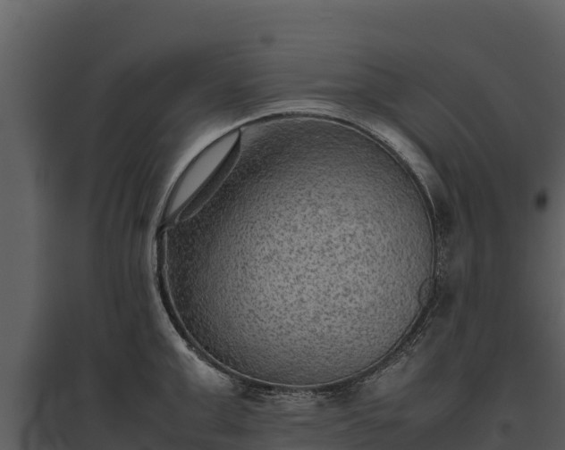 X0000095690999200801151144