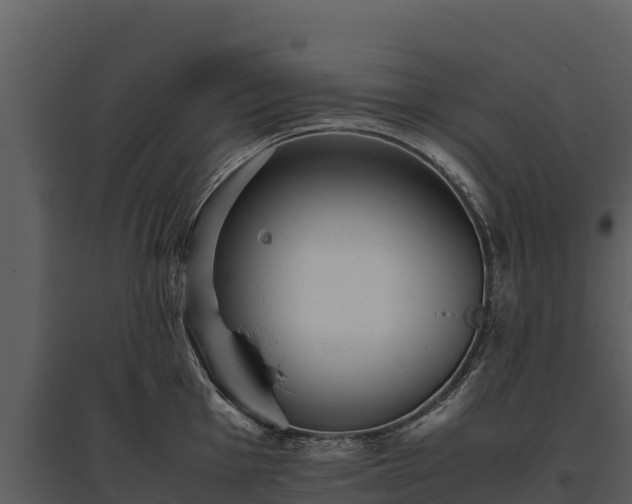 X0000095691001200801151144