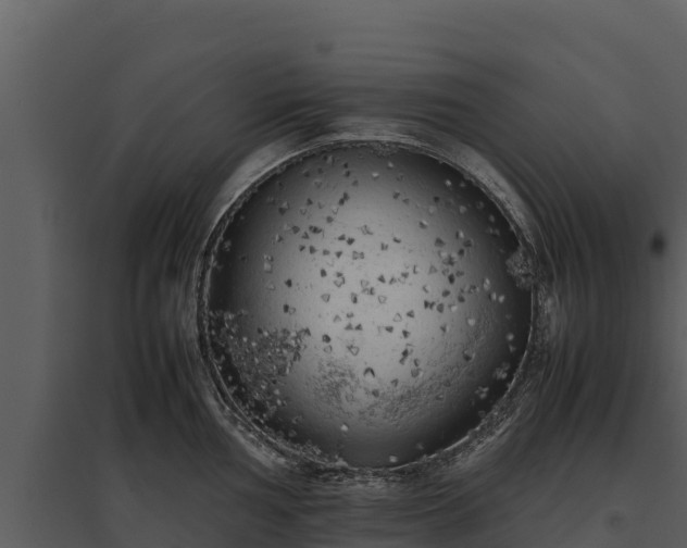 X0000095691002200801151144