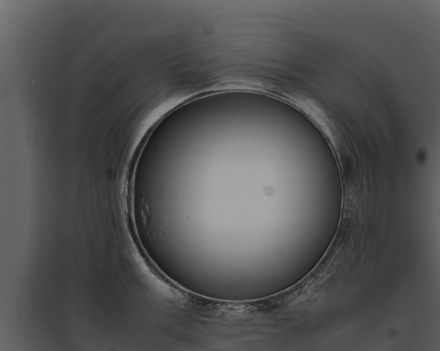 X0000095691003200801151144