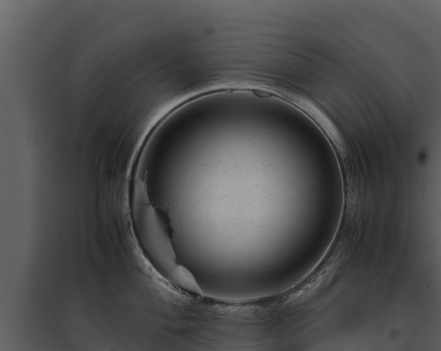 X0000095691004200801151144