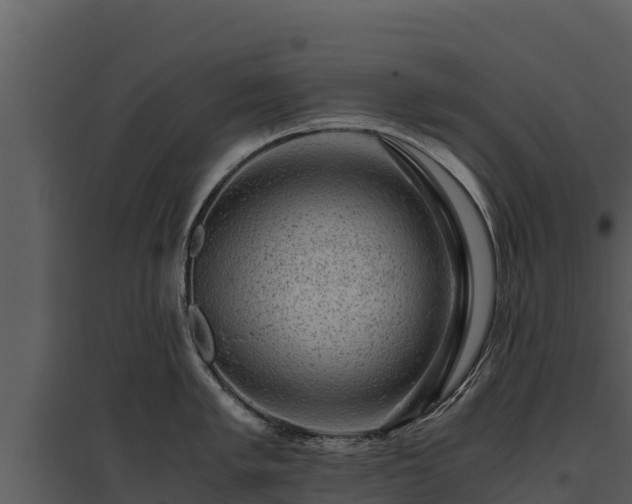 X0000095691005200801151144