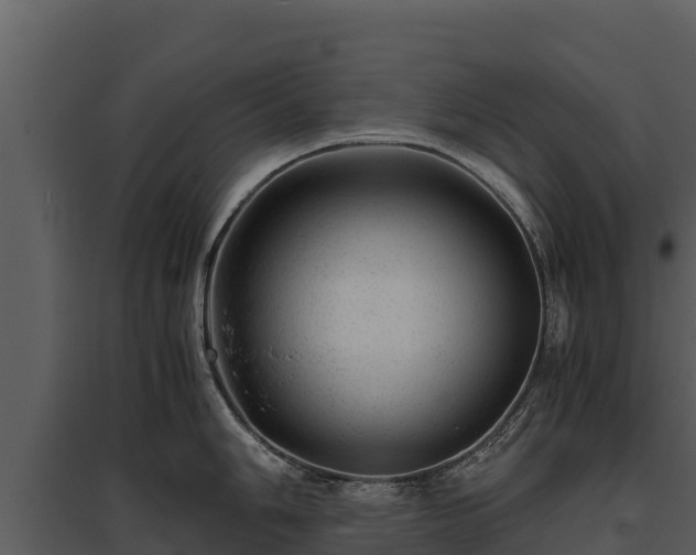 X0000095691006200801151144