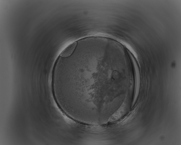 X0000095691007200801151144