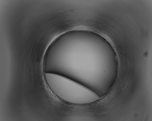 X0000095691008200801151144
