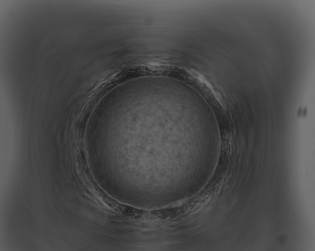 X0000095691009200801151143