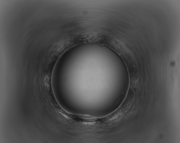 X0000095691010200801151143