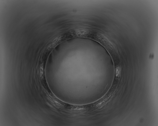 X0000095691011200801151143