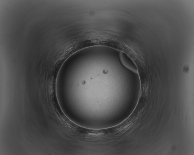 X0000095691012200801151143