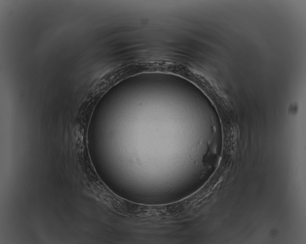 X0000095691013200801151143