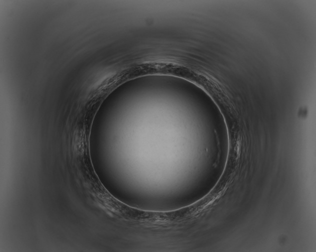 X0000095691014200801151143