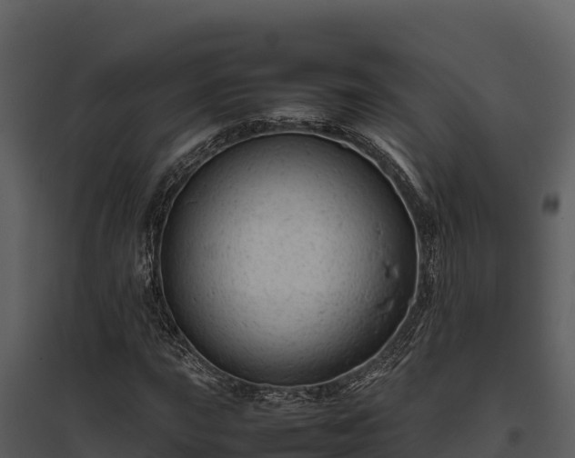 X0000095691015200801151143