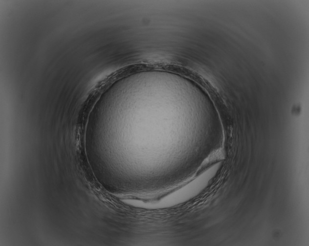 X0000095691016200801151143