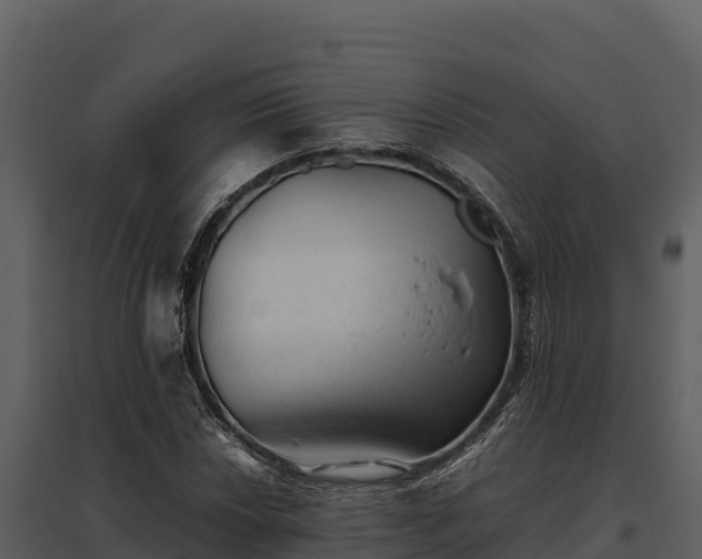X0000095691018200801151143