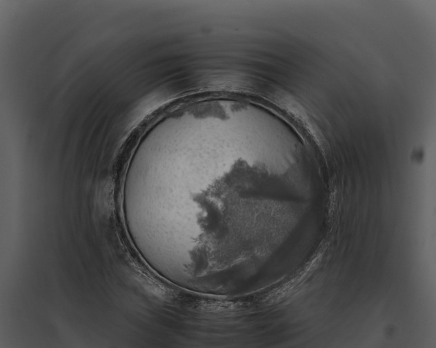 X0000095691019200801151143