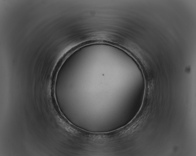 X0000095691020200801151143
