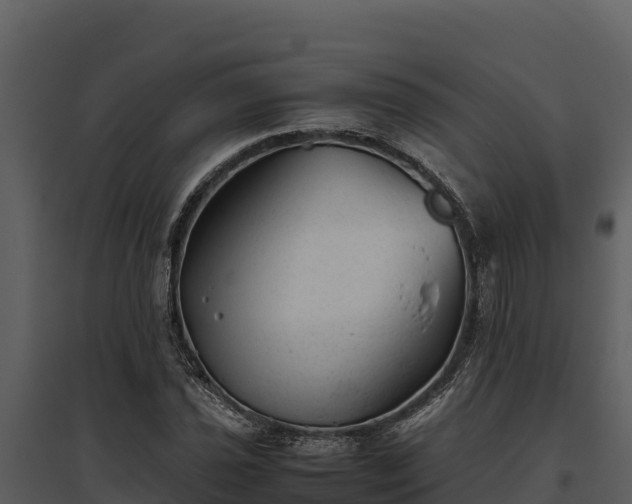 X0000095691021200801151143